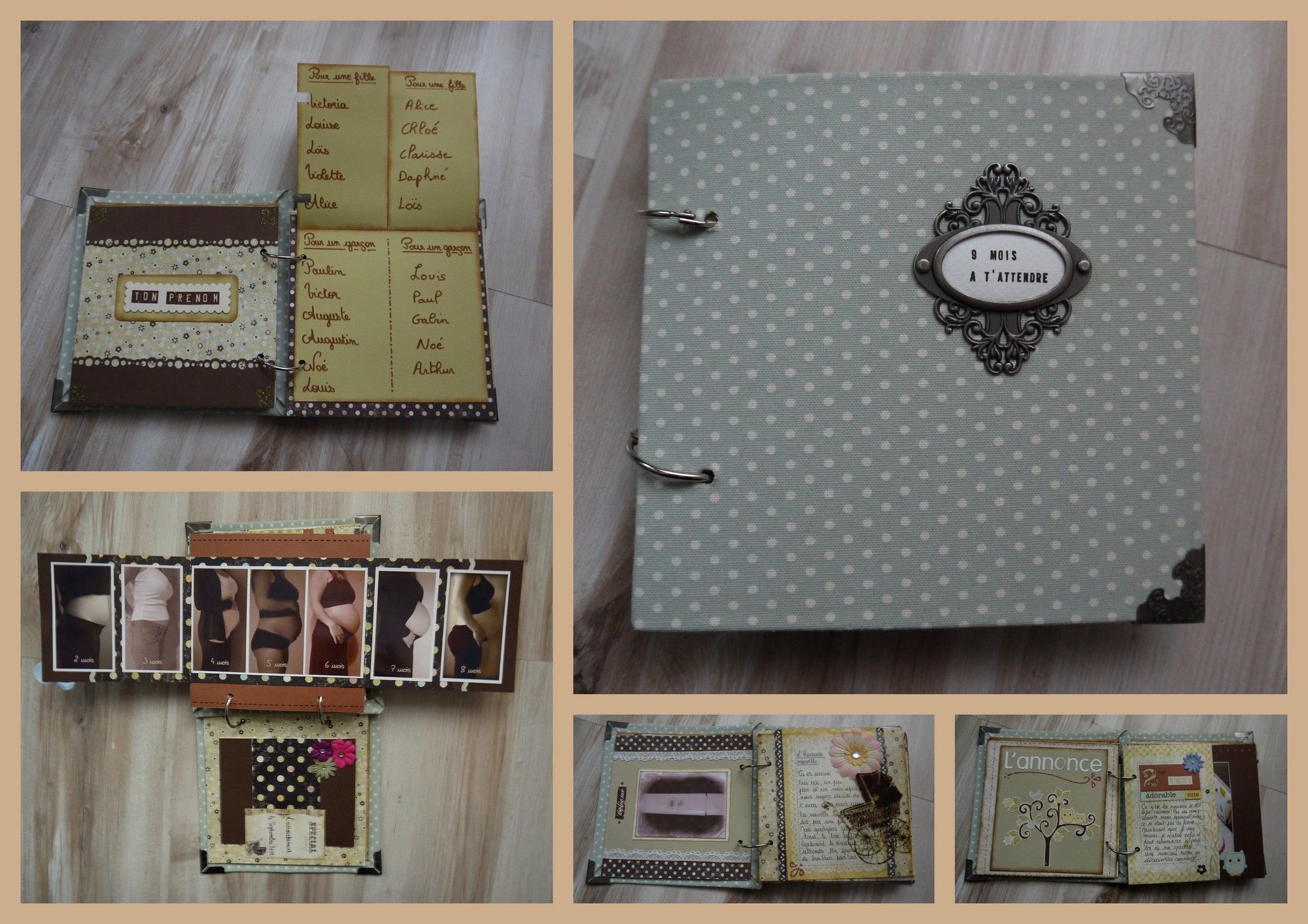 mon album de grossesse